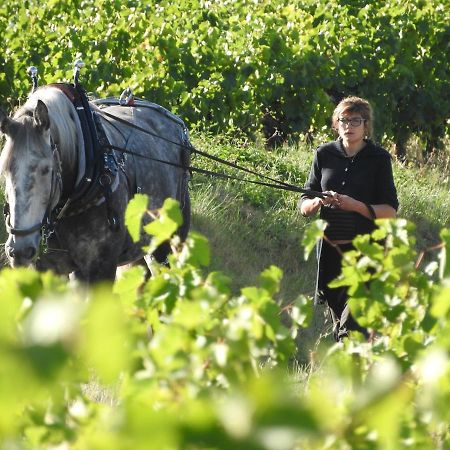 Domaine Houillon Hotel Faucon  Eksteriør billede