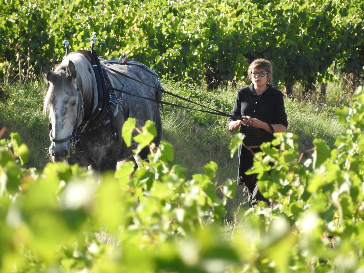 Domaine Houillon Hotel Faucon  Eksteriør billede